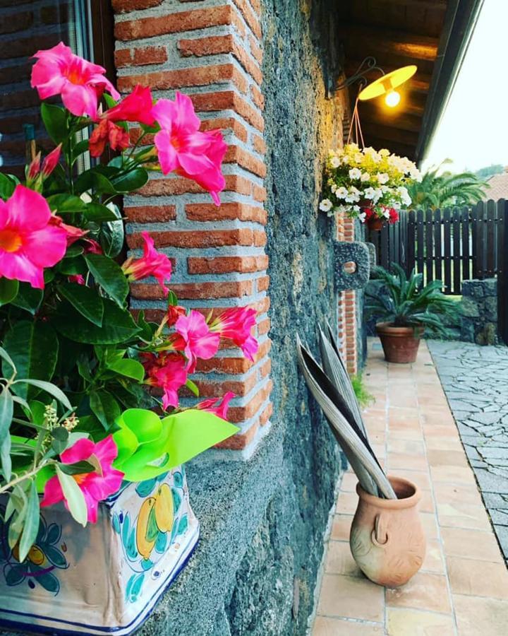 Il Tiglio Apartment วิอากรานเด ภายนอก รูปภาพ